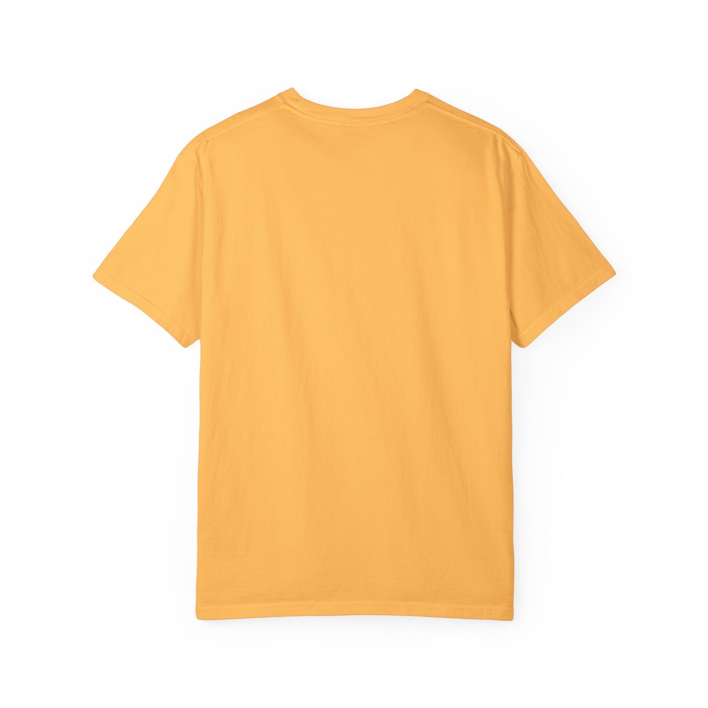 Gulf of Mexico Graphic T-Shirt (Teal Text)