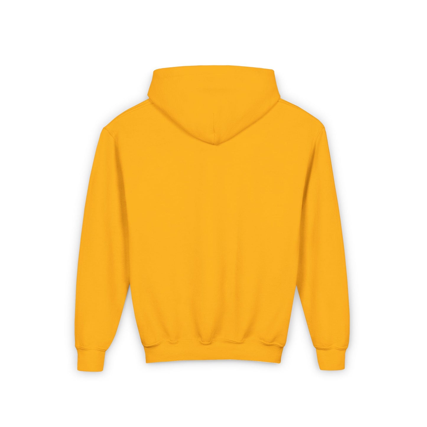 Rainbow Highland Cow - Youth Heavy Blend Hooded Sweatshirt