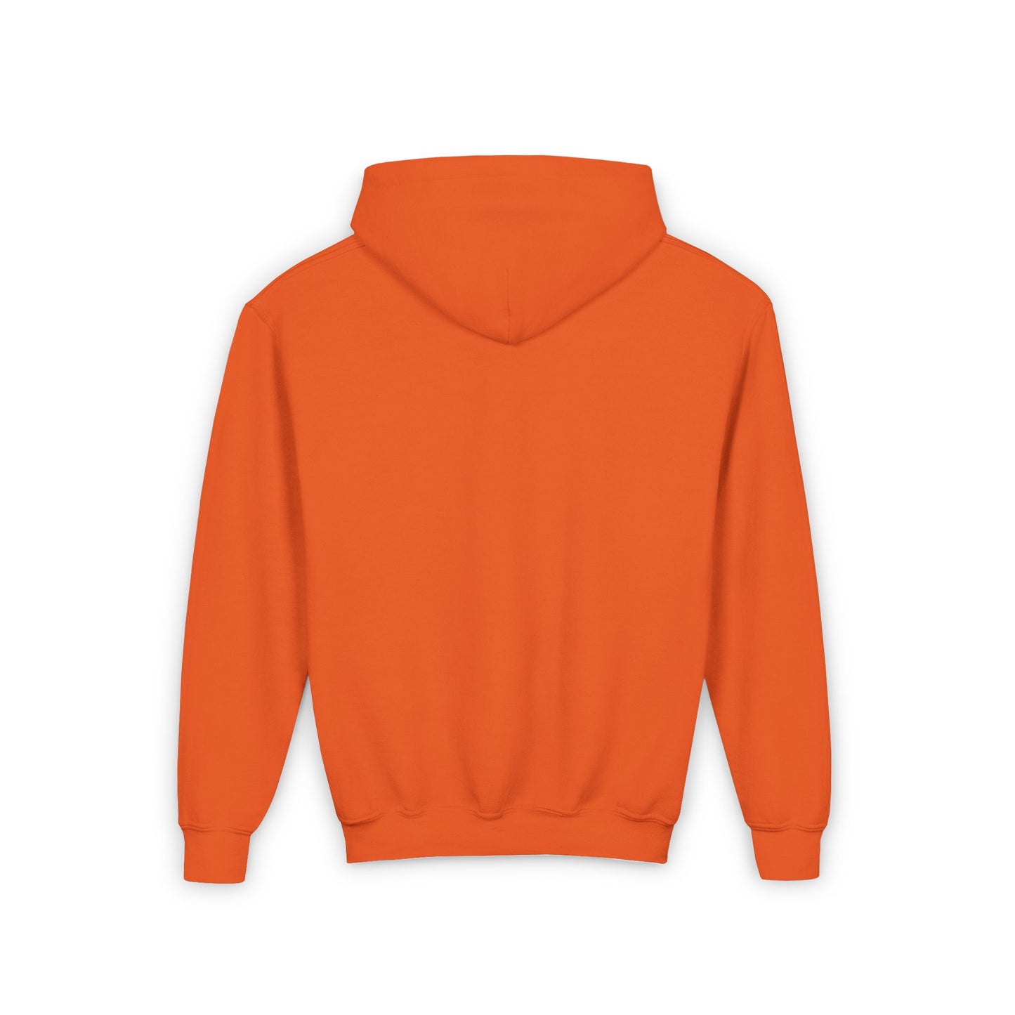 Rainbow Highland Cow - Youth Heavy Blend Hooded Sweatshirt